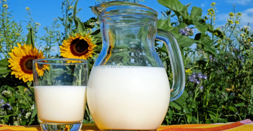 О производстве молока в Вологодской области