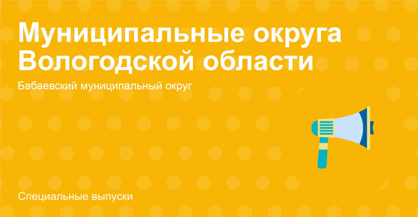 Муниципальные округа Вологодской области. Бабаевский муниципальный округ