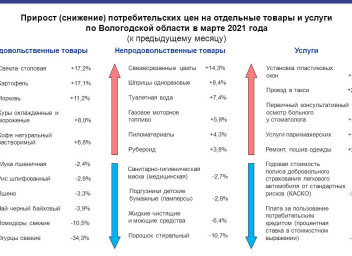 Территориальный орган государственной статистики